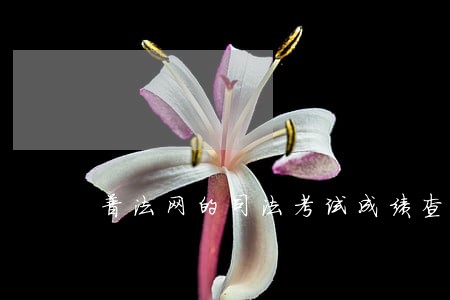 普法网的司法考试成绩查询 普法网的司法考试成绩查询