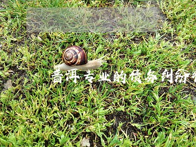 普洱专业的债务纠纷律师价钱 普洱专业的债务纠纷律师价钱