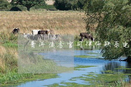 普洱债务官司律师联系电话 普洱债务官司律师联系电话