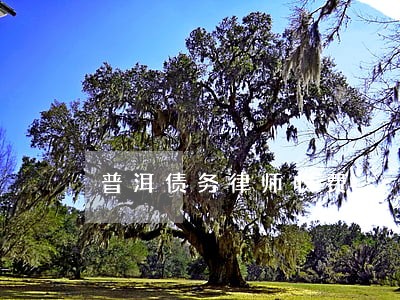 普洱债务律师收费 普洱债务律师收费