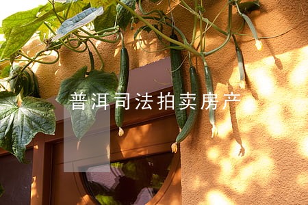 普洱司法拍卖房产 普洱司法拍卖房产