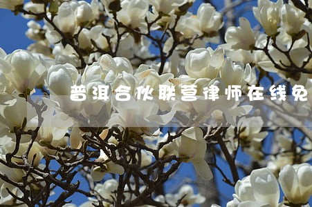 普洱合伙联营律师在线免费咨询 普洱合伙联营律师在线免费咨询
