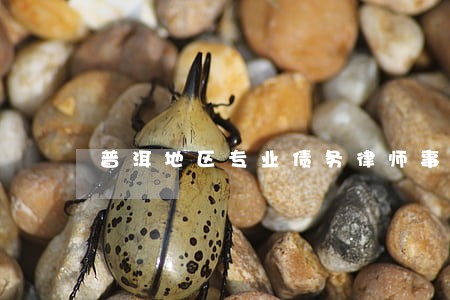 普洱地区专业债务律师事务所 普洱地区专业债务律师事务所