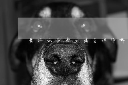 普洱地区专业债务律师哪个好 普洱地区专业债务律师哪个好