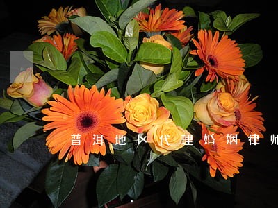 普洱地区代理婚姻律师 普洱地区代理婚姻律师