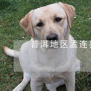 普洱地区孟连县债务官司律师 普洱地区孟连县债务官司律师