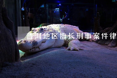 普洱地区擅长刑事案件律师聘请 普洱地区擅长刑事案件律师聘请