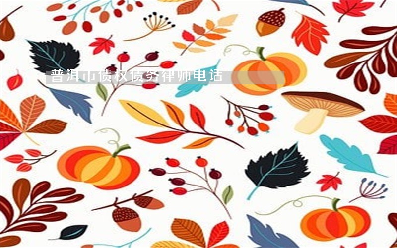 普洱市债权债务律师电话 普洱市债权债务律师电话