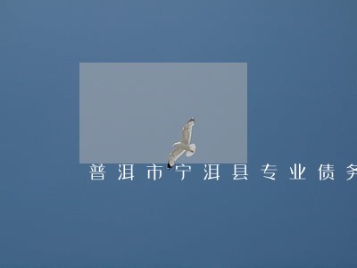 普洱市宁洱县专业债务律师 普洱市宁洱县专业债务律师