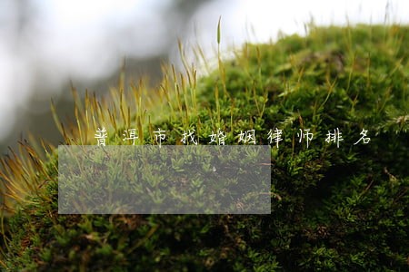 普洱市找婚姻律师排名 普洱市找婚姻律师排名