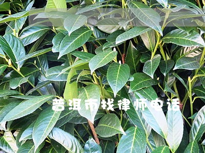 普洱市找律师电话 普洱市找律师电话