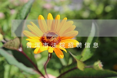 普洱市法院招聘信息