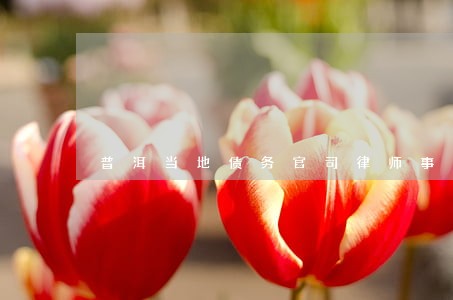 普洱当地债务官司律师事务所 普洱当地债务官司律师事务所