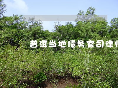 普洱当地债务官司律师咨询电话 普洱当地债务官司律师咨询电话