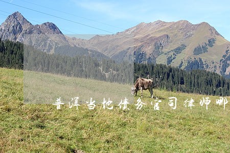 普洱当地债务官司律师哪个好 普洱当地债务官司律师哪个好
