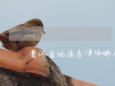 普洱当地债务律师哪个好 普洱当地债务律师哪个好