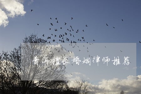 普洱擅长婚姻律师推荐 普洱擅长婚姻律师推荐