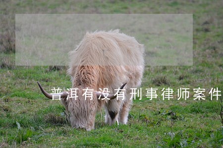 普洱有没有刑事律师案件 普洱有没有刑事律师案件