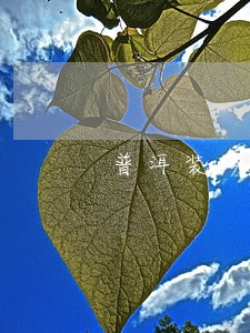 普洱装修工程纠纷律师电话 普洱装修工程纠纷律师电话