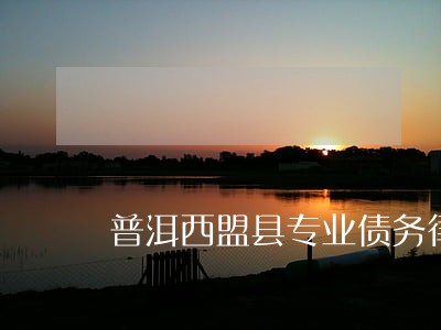 普洱西盟县专业债务律师 普洱西盟县专业债务律师