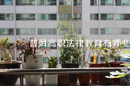 普洱高职法律教育有哪些院校