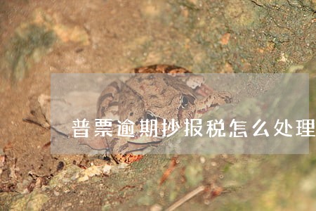 普票逾期抄报税怎么处理 普票逾期抄报税怎么处理
