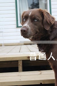 普通人应该如何寻求法律保护 普通人应该如何寻求法律保护