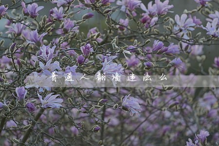 普通人翻墙违法么