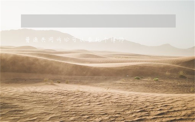 普通共同诉讼可以委托个律师