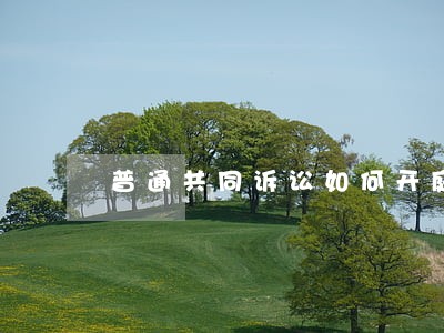 普通共同诉讼如何开庭 普通共同诉讼如何开庭