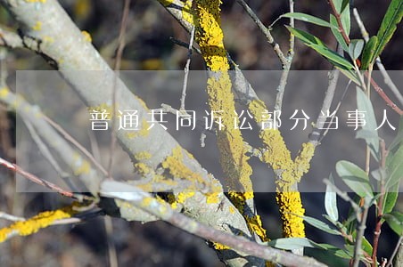 普通共同诉讼部分当事人起诉