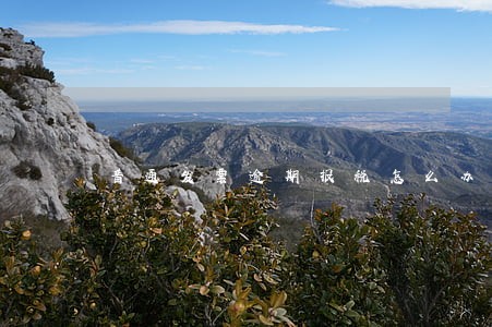 普通发票逾期报税怎么办 普通发票逾期报税怎么办