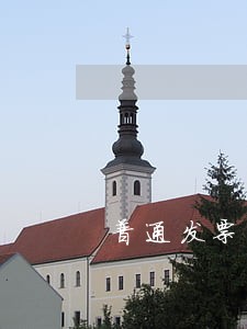 普通发票逾期申报怎么处理 普通发票逾期申报怎么处理