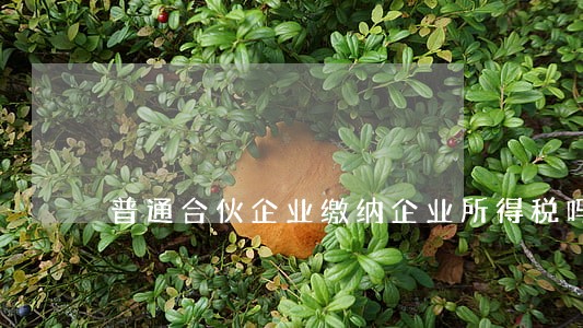 普通合伙企业缴纳企业所得税吗