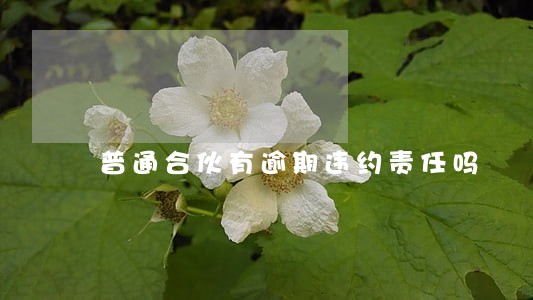 普通合伙有逾期违约责任吗 普通合伙有逾期违约责任吗
