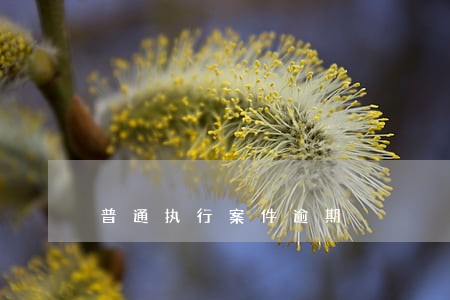 普通执行案件逾期 普通执行案件逾期