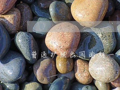 普通护照出国逾期一年怎么回国 普通护照出国逾期一年怎么回国