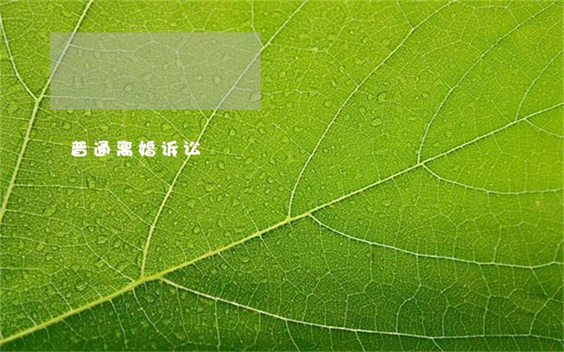 普通离婚诉讼 普通离婚诉讼