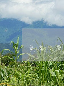 普通网贷逾期会限制高消费吗 普通网贷逾期会限制高消费吗