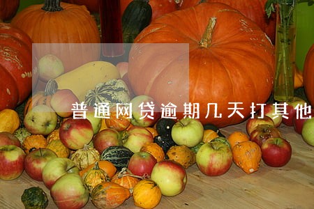 普通网贷逾期几天打其他联系人 普通网贷逾期几天打其他联系人