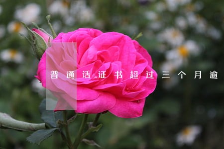 普通话证书超过三个月逾期未领 普通话证书超过三个月逾期未领