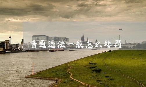 普通违法一般怎么处罚