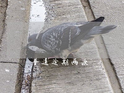 普通逾期两次 普通逾期两次