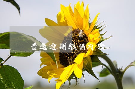 普通逾期短信内容