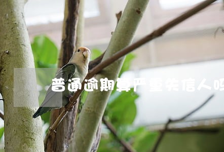 普通逾期算严重失信人吗 普通逾期算严重失信人吗