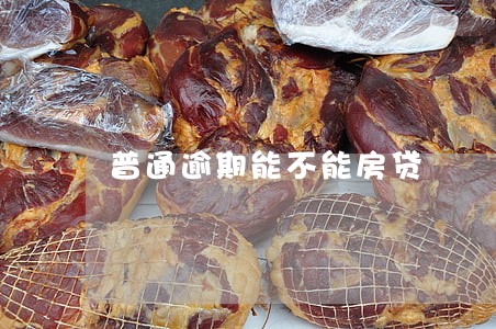 普通逾期能不能房贷