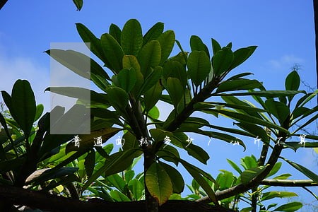 普通面粉多少1公斤不算违法今天 普通面粉多少1公斤不算违法今天