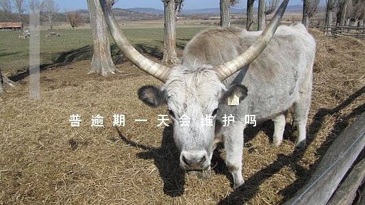 普逾期一天会维护吗