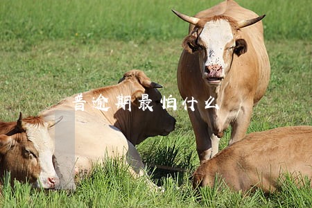 普逾期最怕什么