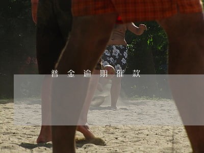 普金逾期催款